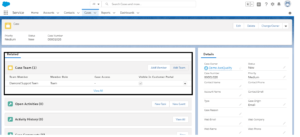 Salesforce Service Cloud Case Management