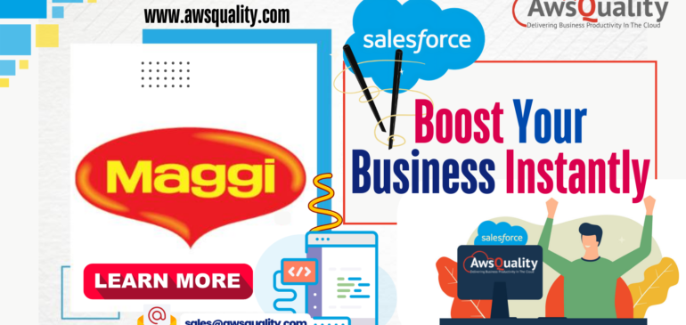 Business Revolution: Meggi’s Speedy Solutions and Salesforce Integration