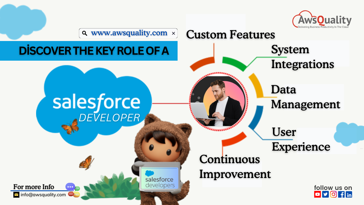 Salesforce Developer role